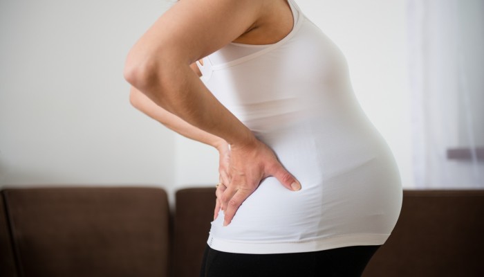 Torso of pregnant woman with backache - holding back