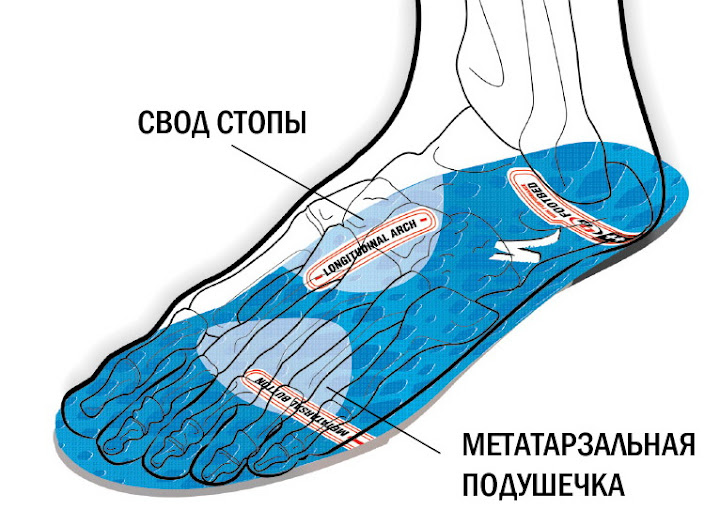 stopa_(2)